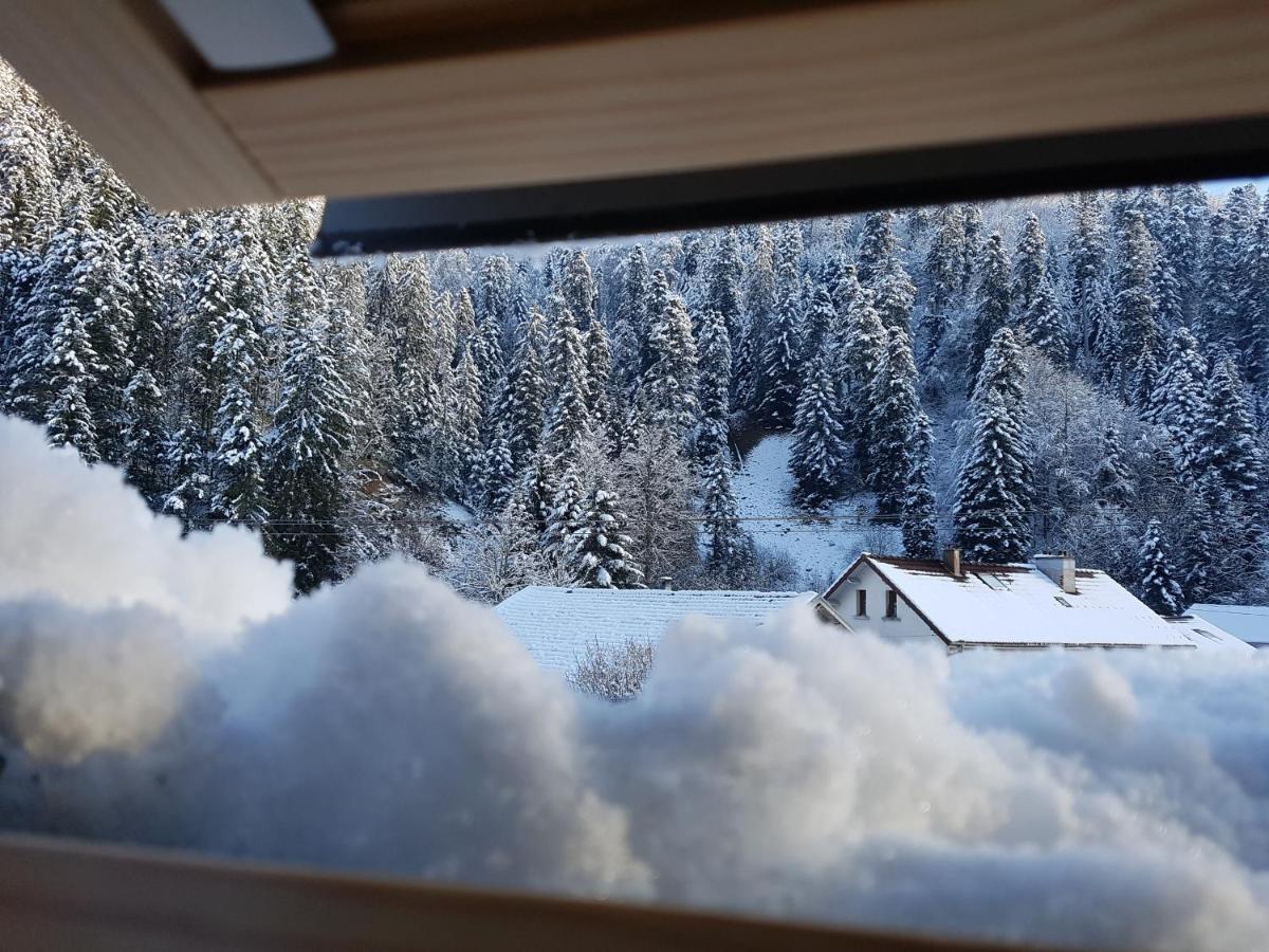 Apartamento Le Petit Kichon Gérardmer Exterior foto