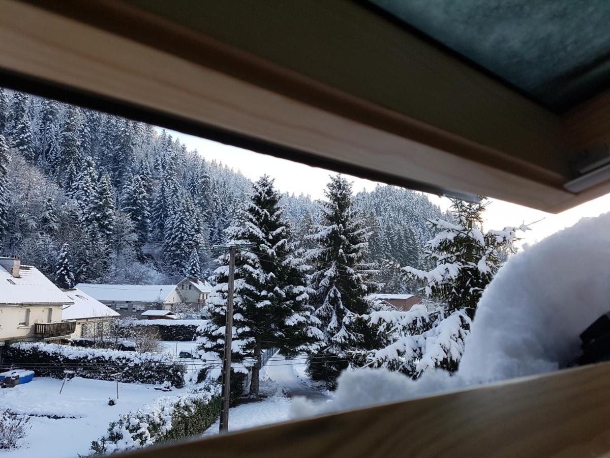 Apartamento Le Petit Kichon Gérardmer Exterior foto