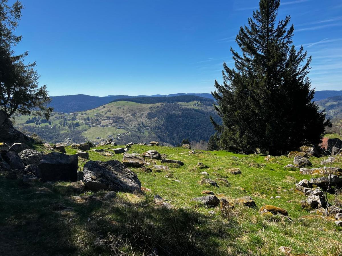 Apartamento Le Petit Kichon Gérardmer Exterior foto