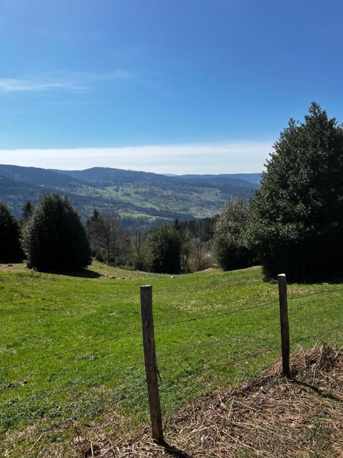 Apartamento Le Petit Kichon Gérardmer Exterior foto